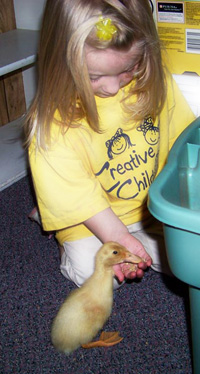 Creative Child Learning Center: Preschool in Appleton, WI